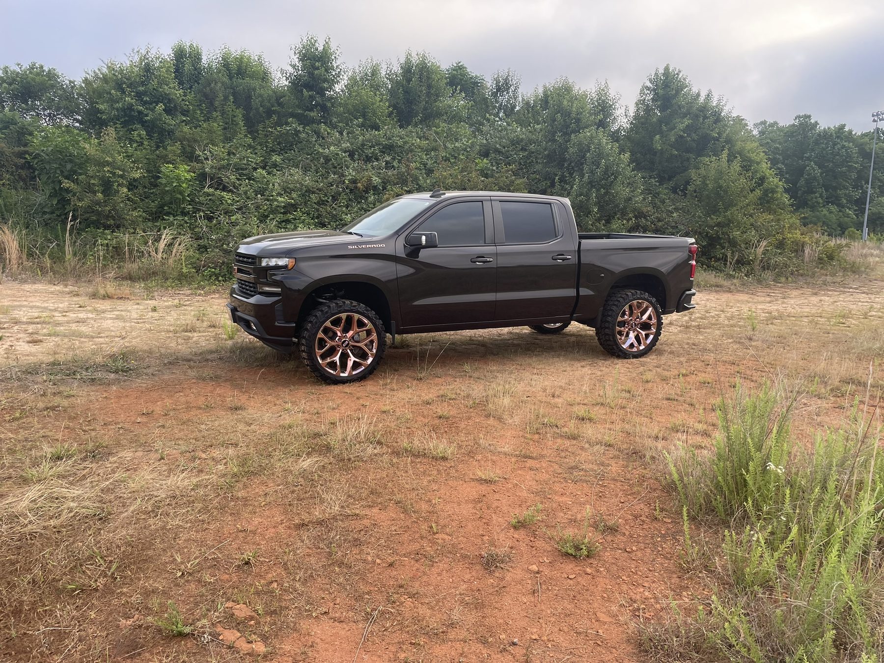 Finished Rosey Silverado